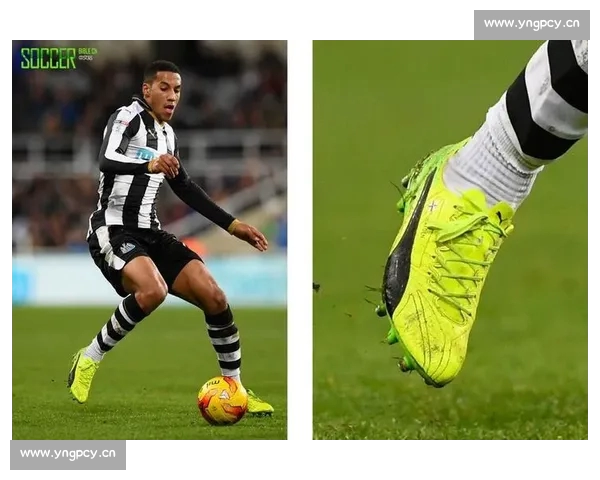 高清足球赛事直播APP下载指南畅享全球赛场精彩即时比分数据分析权威解说 - 副本 (29) - 副本