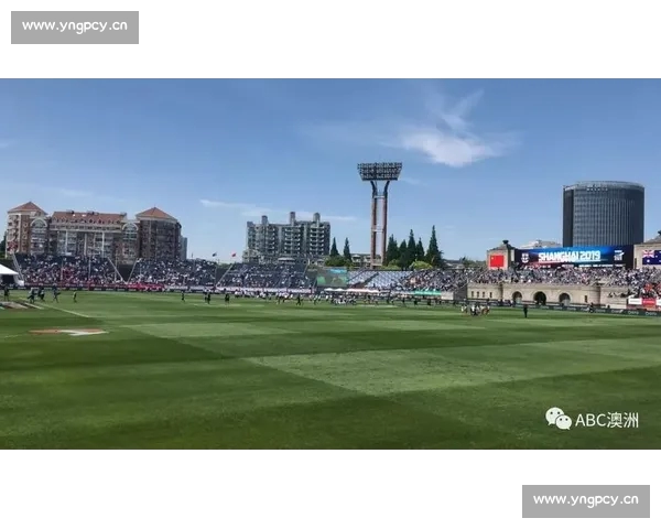 高清足球赛事直播APP下载指南畅享全球赛场精彩即时比分数据分析权威解说 - 副本 - 副本 - 副本 (9) - 副本