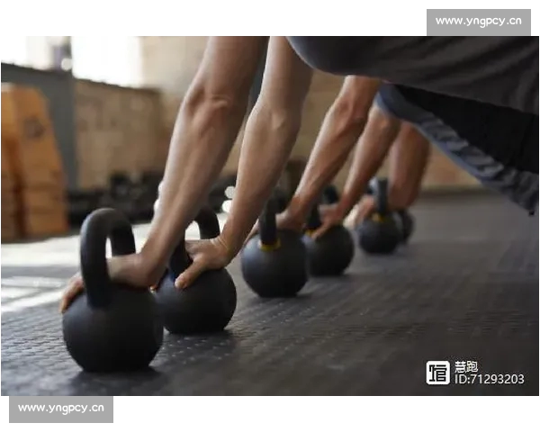 权威体育官网平台入口全面解析与最新活动指南