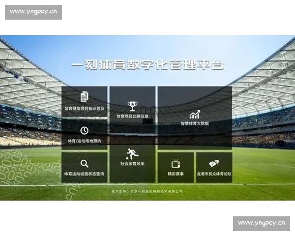 全面体育数据查询平台助力精准分析与深度研究